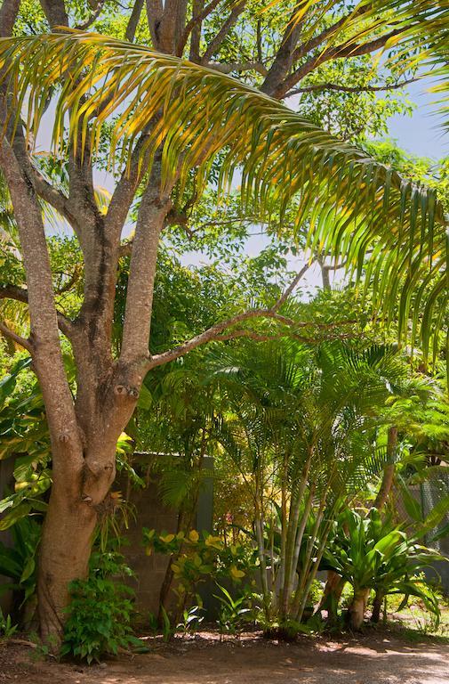 Villa Gardens Retreat Pereybere Beach Exterior foto